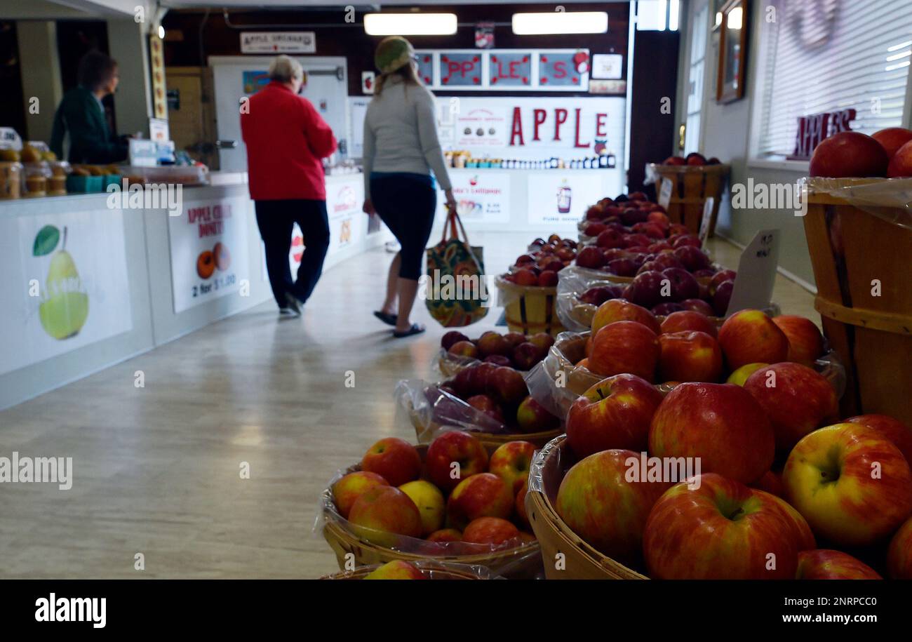 The most popular apple Braces Orchard sells is the Honey Crisp. The