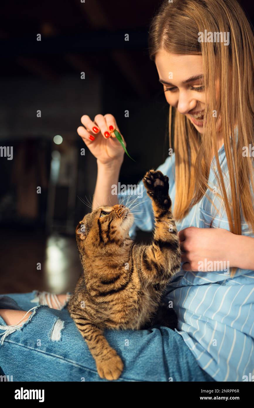 Smiling young Blonde Woman Playing Cute Green-eyed Scottish Tabby Cat Who sits on her lap in her arms and hugs it, The concept caring for pets Stock Photo