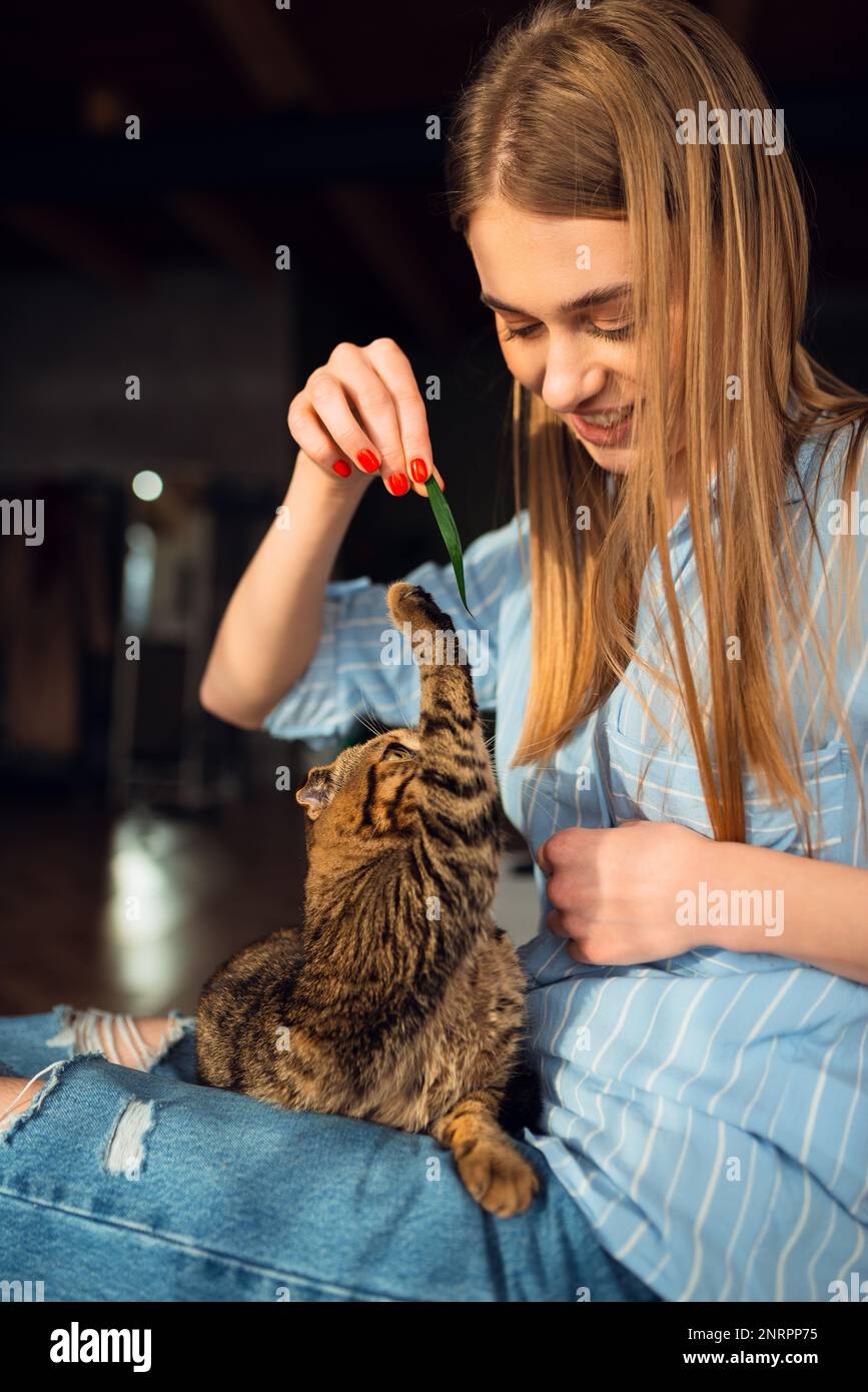 Smiling young Blonde Woman Playing Cute Green-eyed Scottish Tabby Cat Who sits on her lap in her arms and hugs it, The concept caring for pets Stock Photo