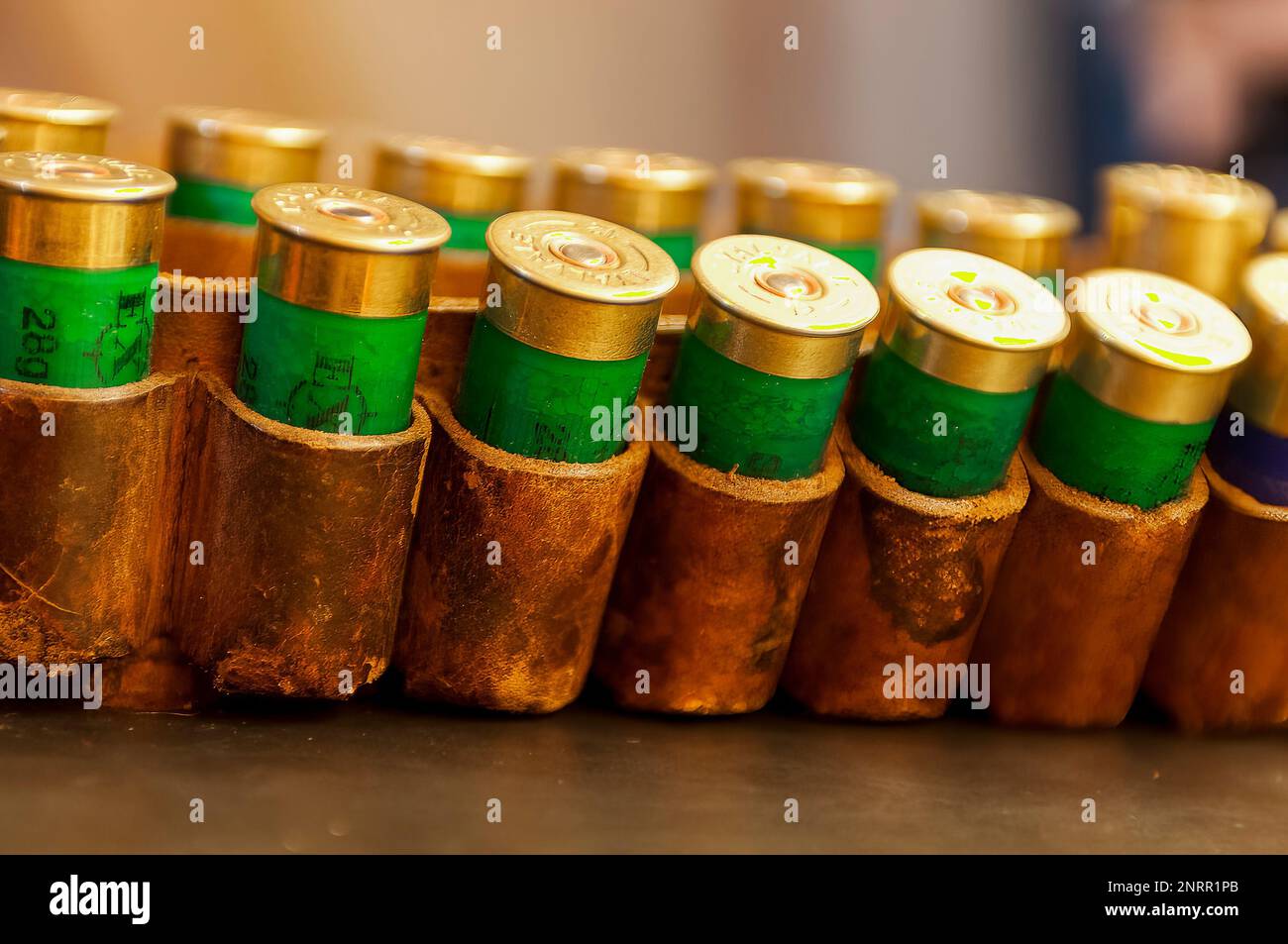 Shot gun cartridges in a an old leather cartridge belt Stock Photo Alamy