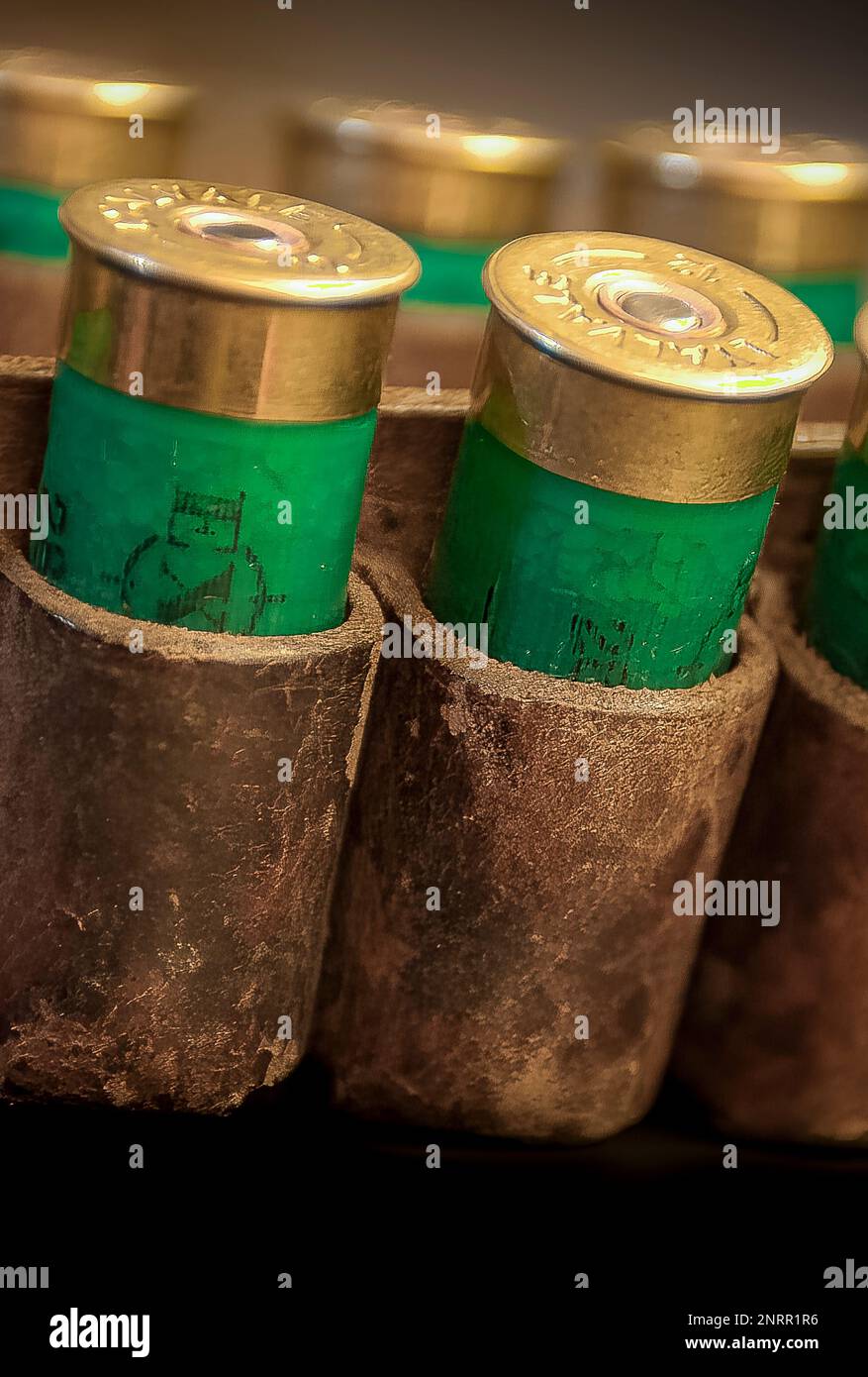 Shot gun cartridges in a an old leather cartridge belt Stock Photo Alamy