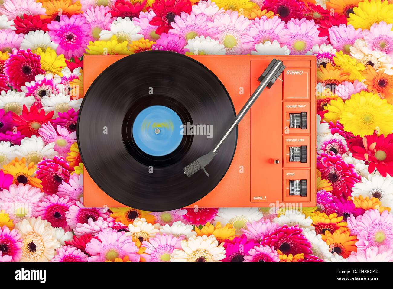 Vintage orange record player in front of colorful blooming gerbera flowers Stock Photo