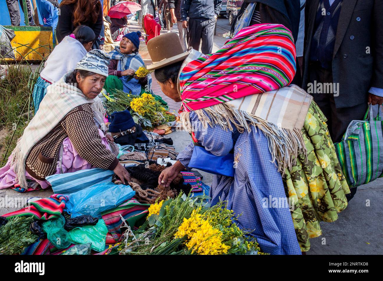 Mercado rodriguez rodriguez market la paz bolivia stock photo alamy