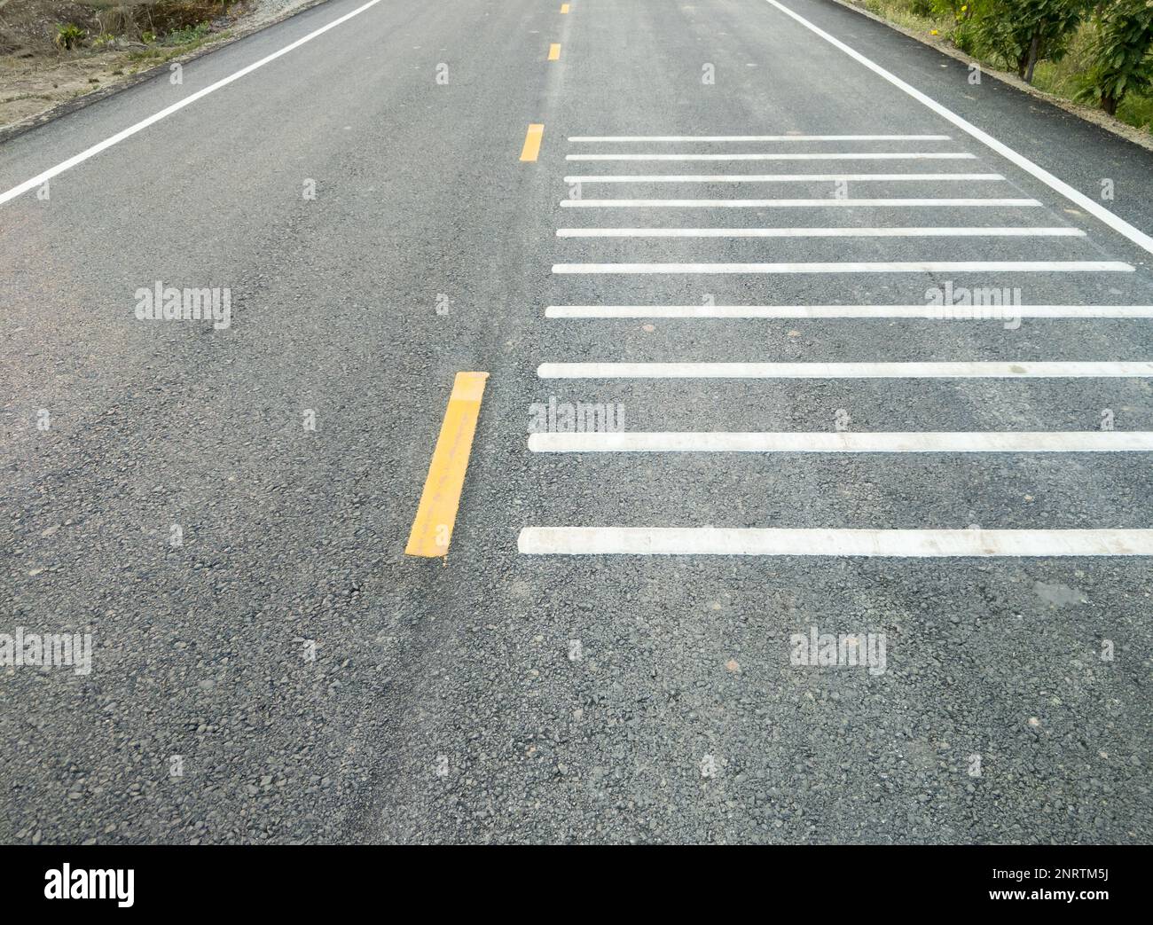 The white transverse rumble strips on the asphalt road for causing a loud noise to alert the driver to be aware before reaching the intersection in th Stock Photo