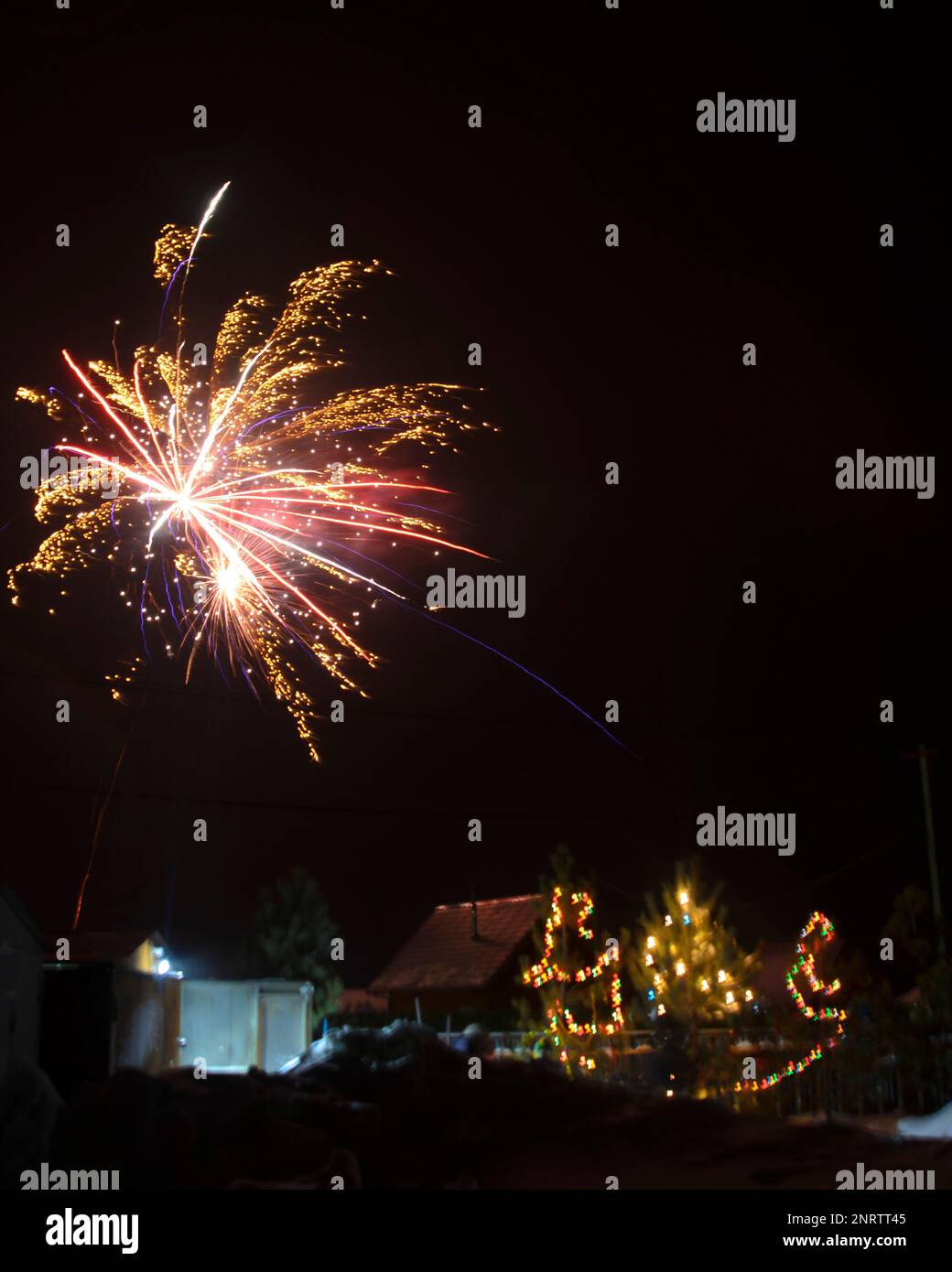 Bright flashes of fireworks in a garden plot in Siberia in winter with Christmas trees decorated with garlands on the snow at night. Stock Photo