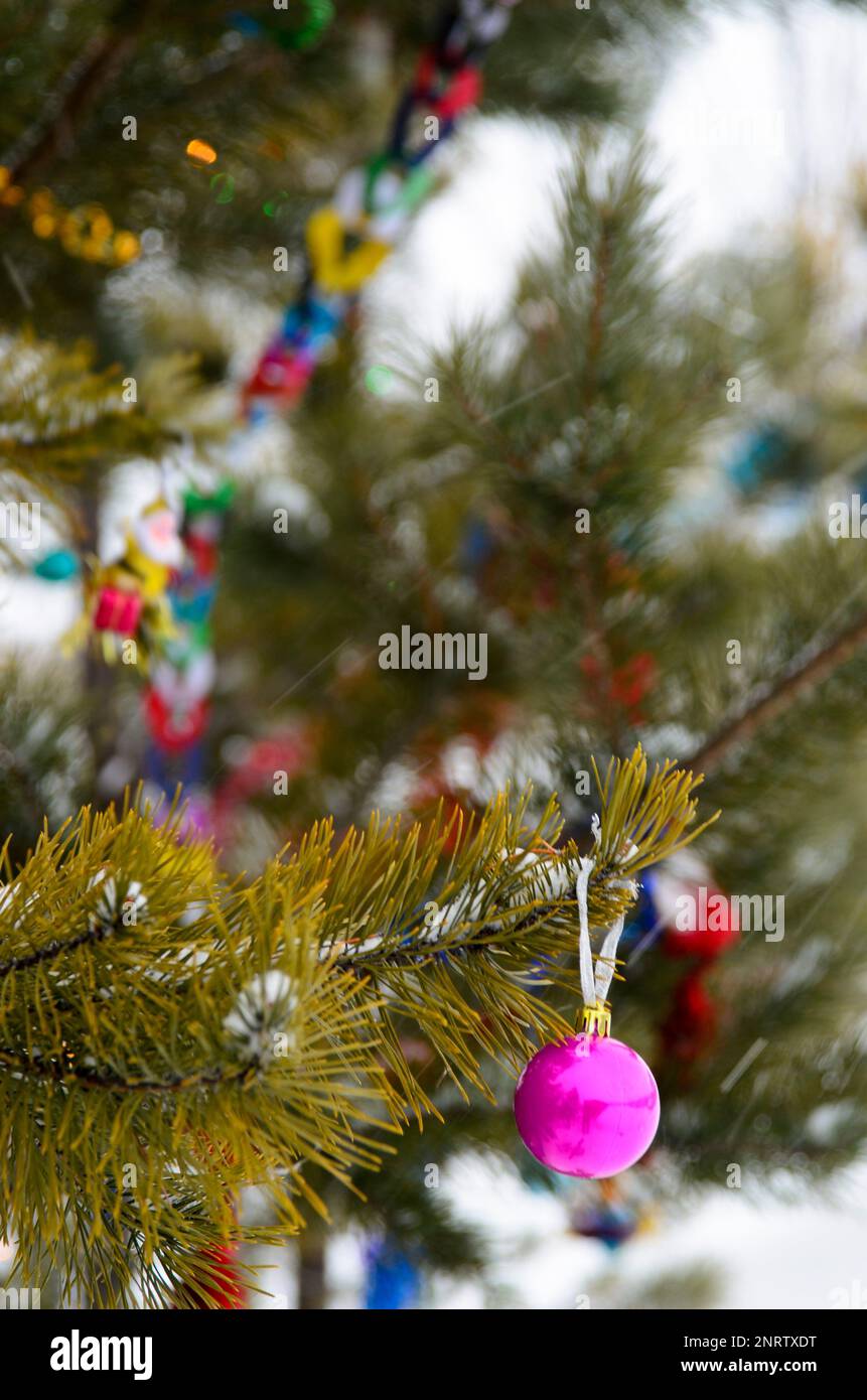 Multi-colored garlands and tinsel from the ball decorate the Christmas ...