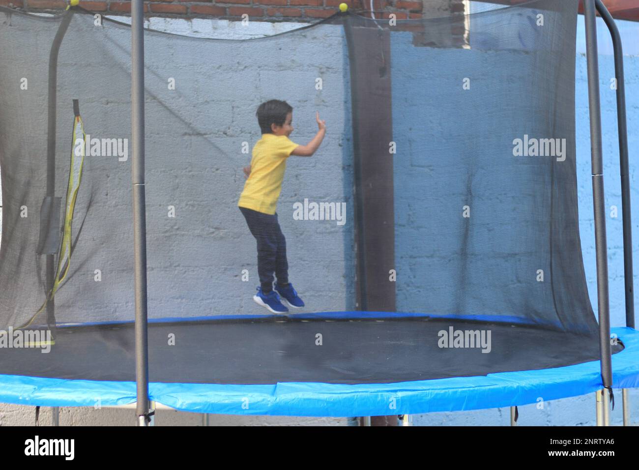 Trampoline garden hi-res stock photography and images - Page 16 - Alamy