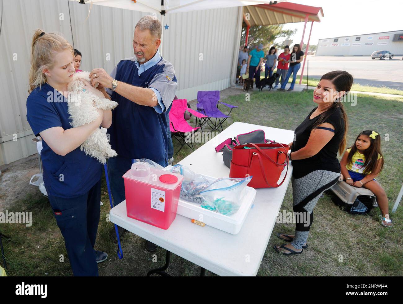 Odessa sales animal clinic