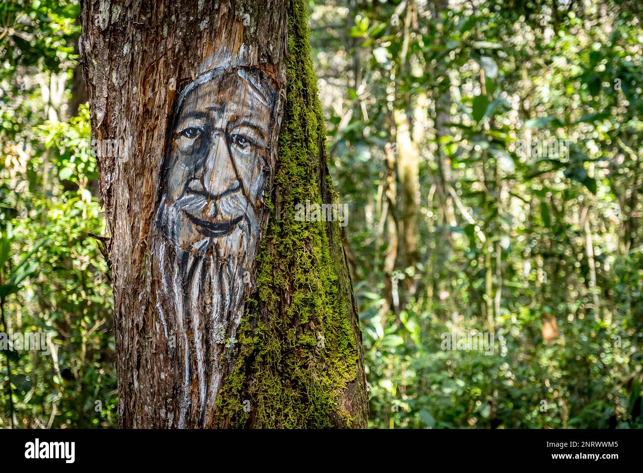 Mohan god, protector of the rivers and thief of women, myths and legends trail, Arví Park, Medellin, Colombia Stock Photo