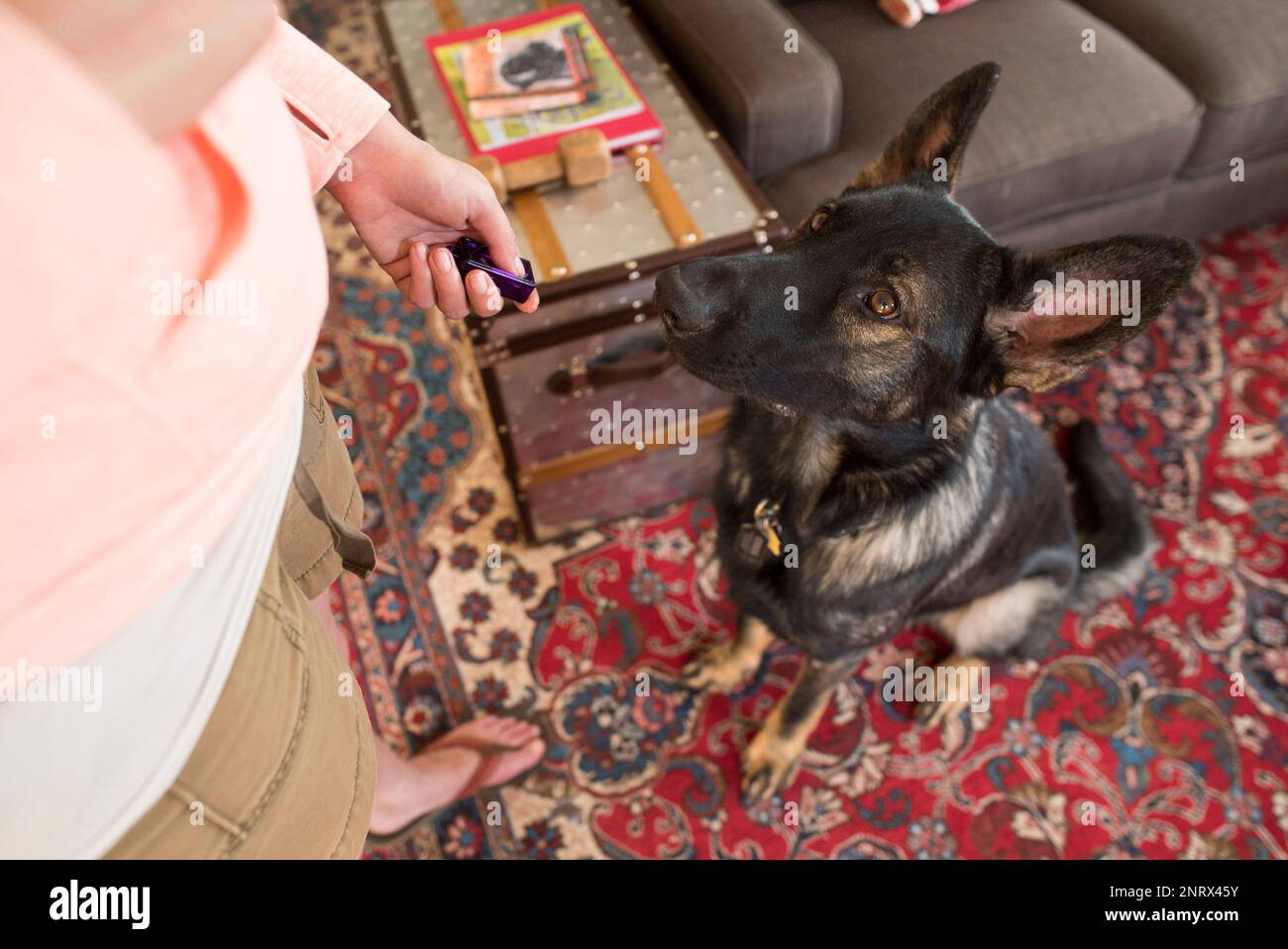 What Sound Does A Dog Make In German