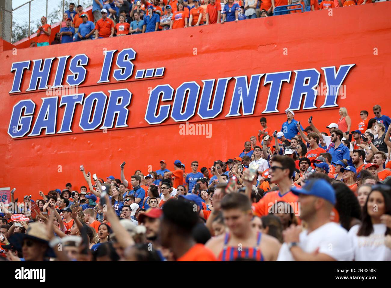 Florida Gators fans at Ben Hill Griffin Stadium during an NCAA college ...