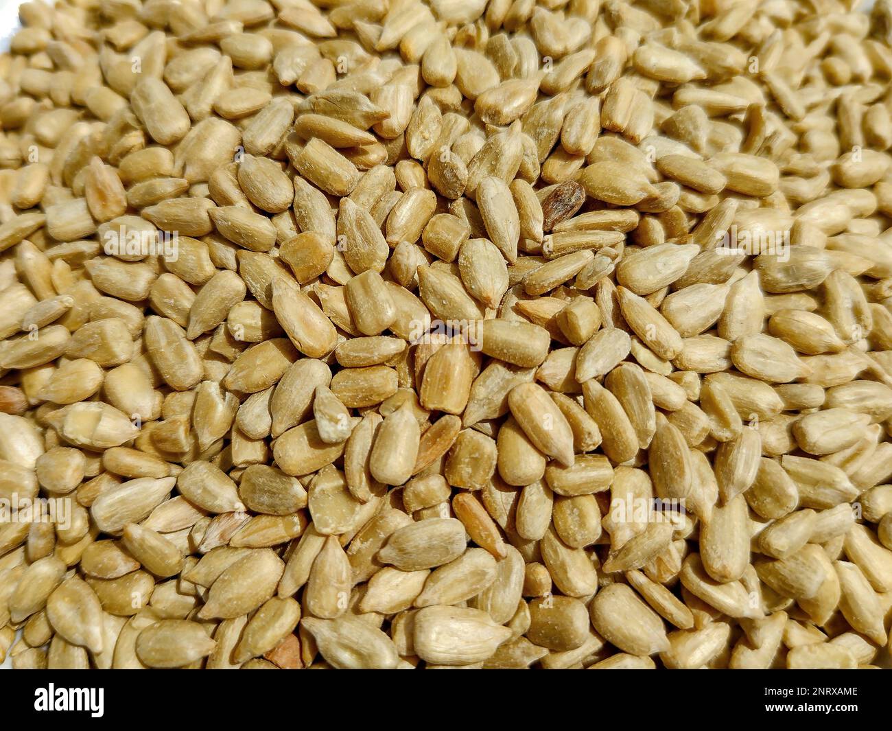 Pile of peeled sunflower seeds Stock Photo - Alamy