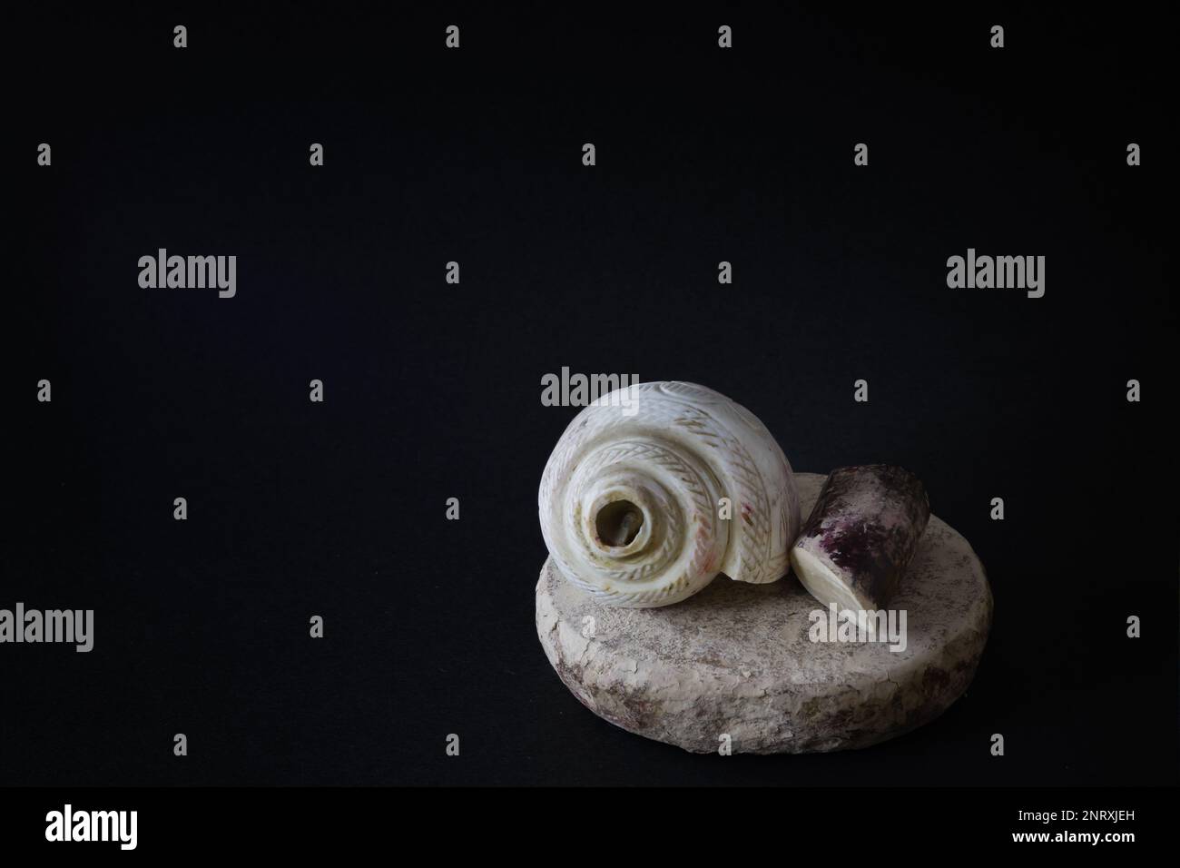 puja essentials conch shell with sandalwood stick and stone. symbolic ...