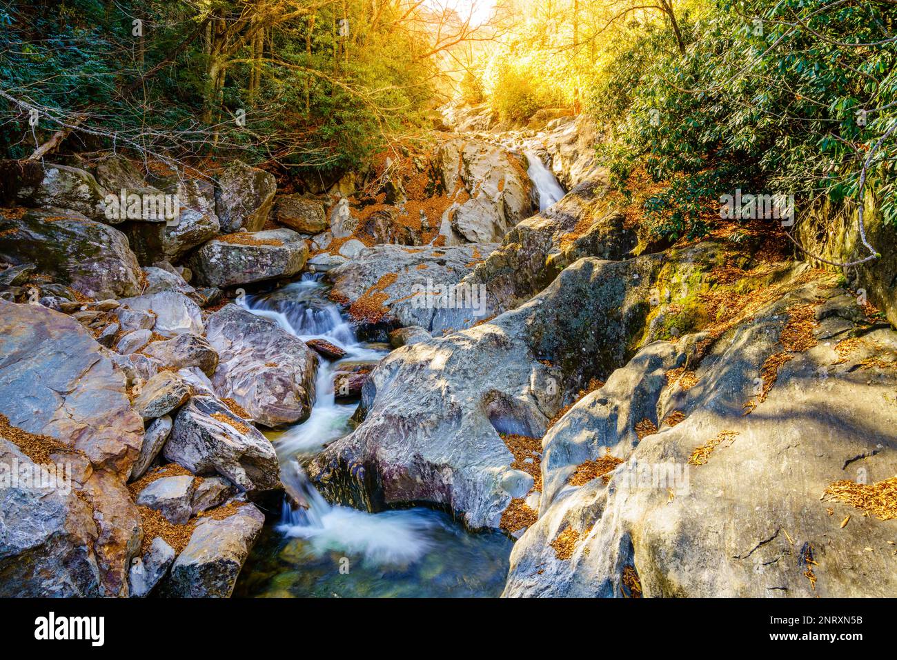 Rocky mountain stream in Pisgah National Forest, North Carolina Stock Photo
