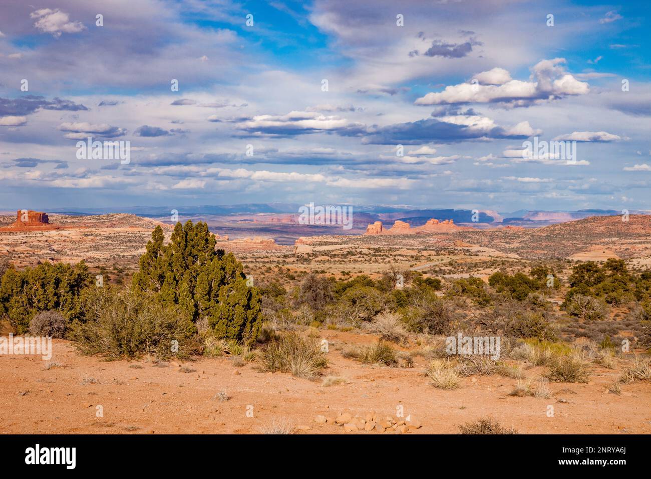 View of Arth's Pasture, Arth's Rima & distant Arches National Park from the Plateau Viewpoint, Moab, Utah.  Monitor Butte is at far left. Stock Photo
