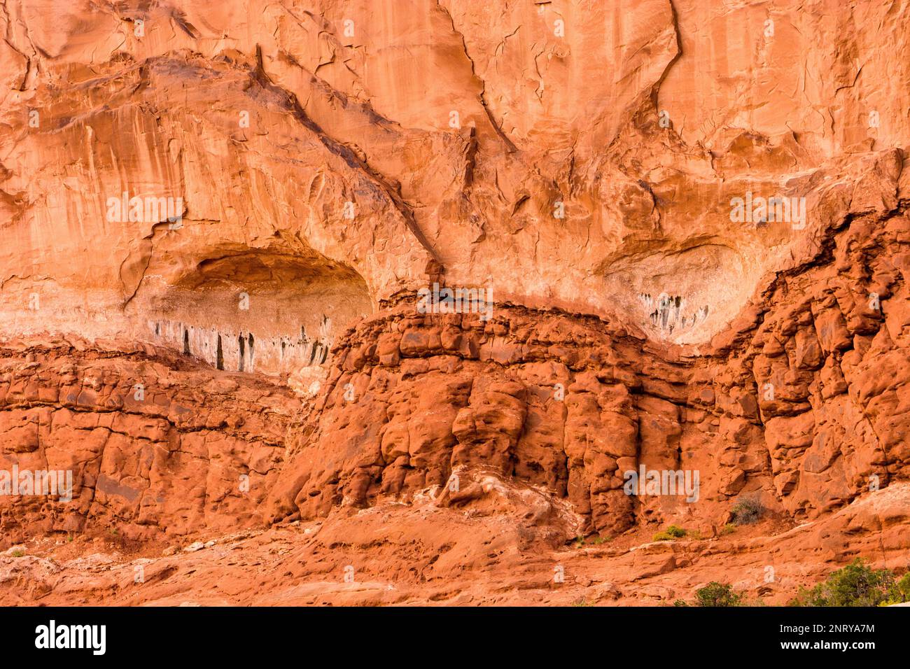 Alcoves forming by erosion in the Entrada sandstone at the Navajo Rocks