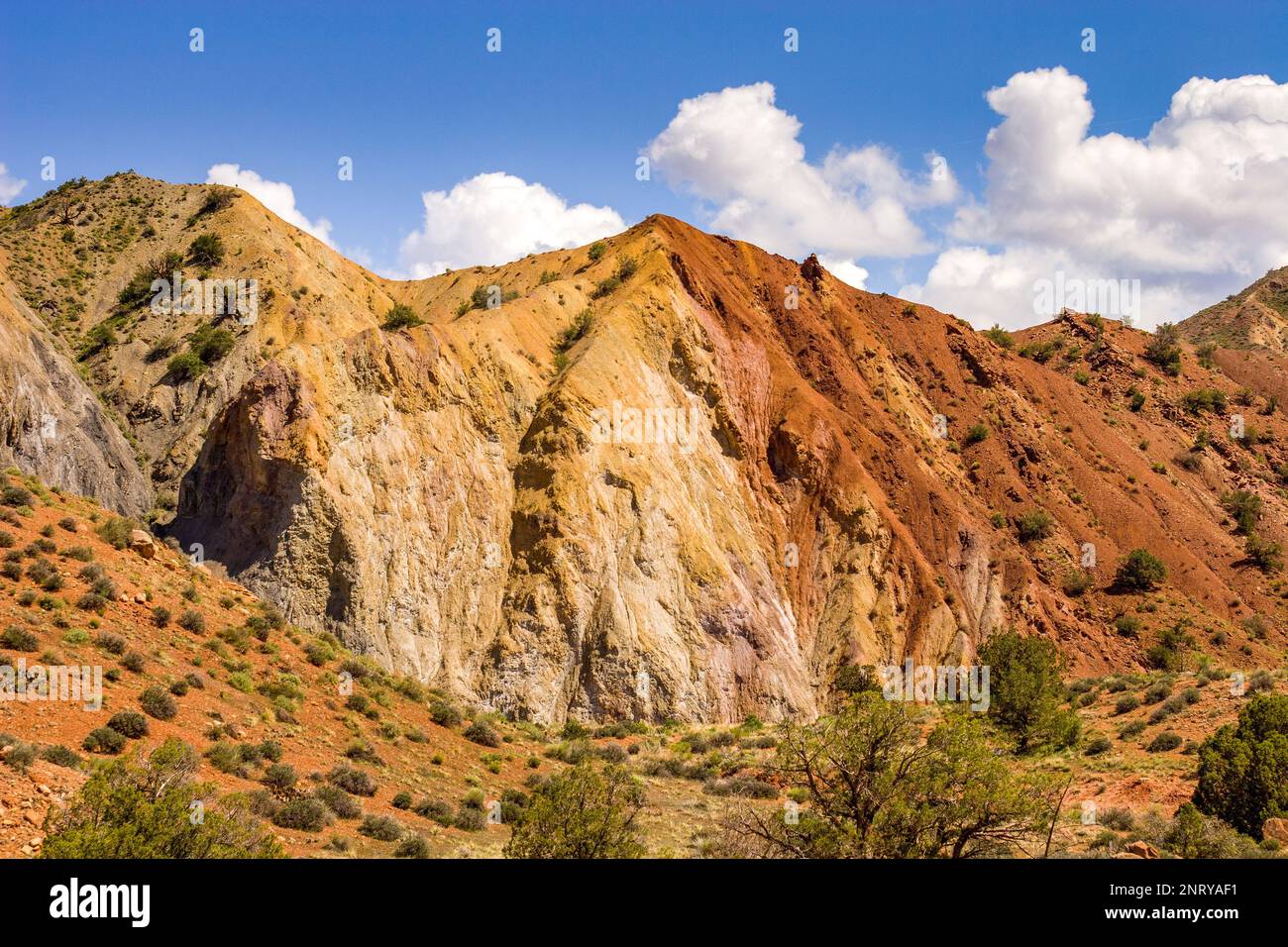 Colorful mineral deposits in Onion Creek Canyon near Moab, Utah Stock
