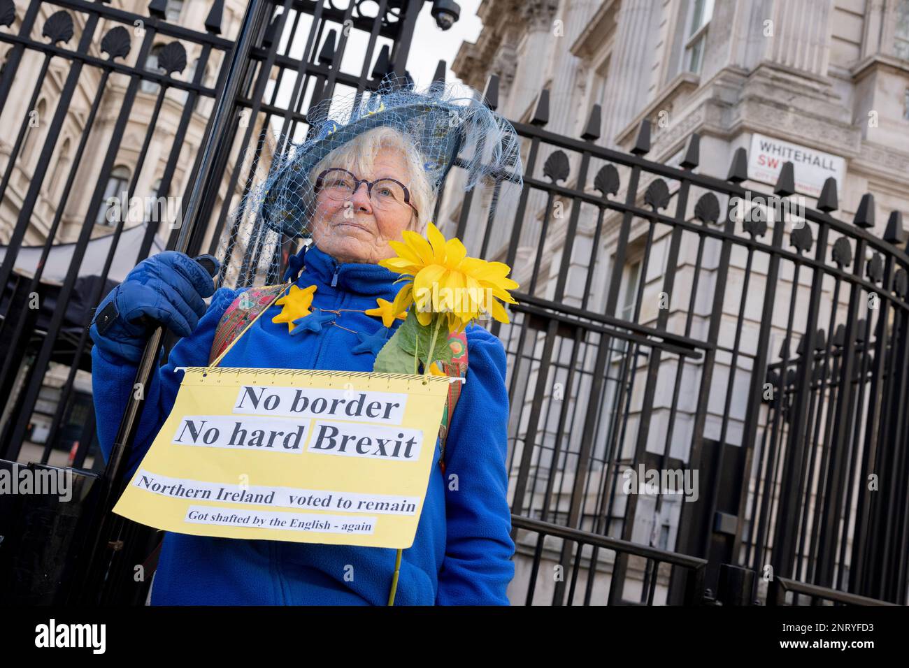 On the day that British Prime Minister Rushi Sunak's government finally reached a post-Brexit trade deal with the EU, a renegotiation of the Northern Irish Protocol, a pro-Europe protester stands at the gates to Downing Street, on 27th February 2023, in London, England. Stock Photo