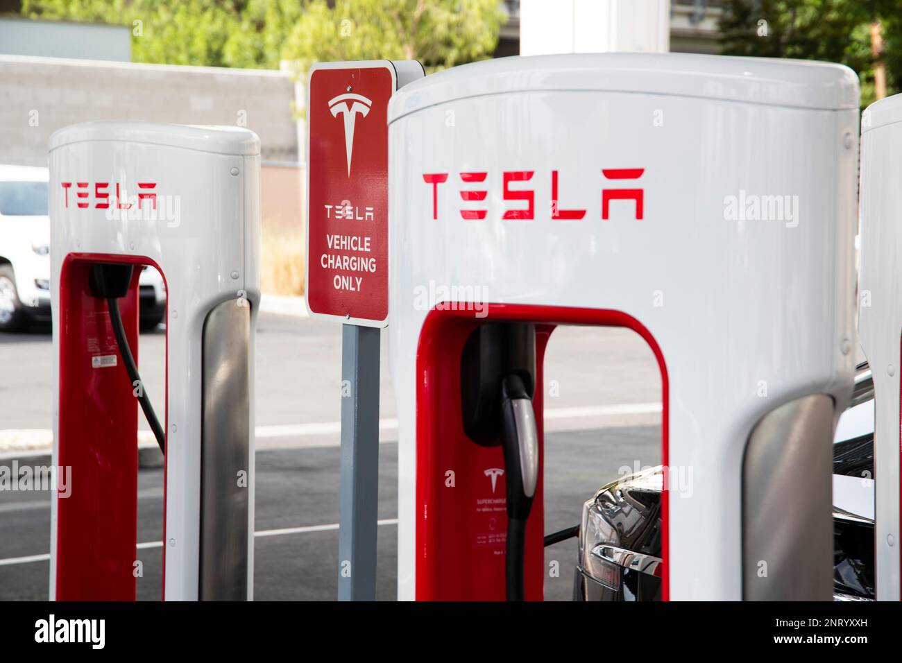 The Tesla logo identifies a new Tesla Supercharger station next to the