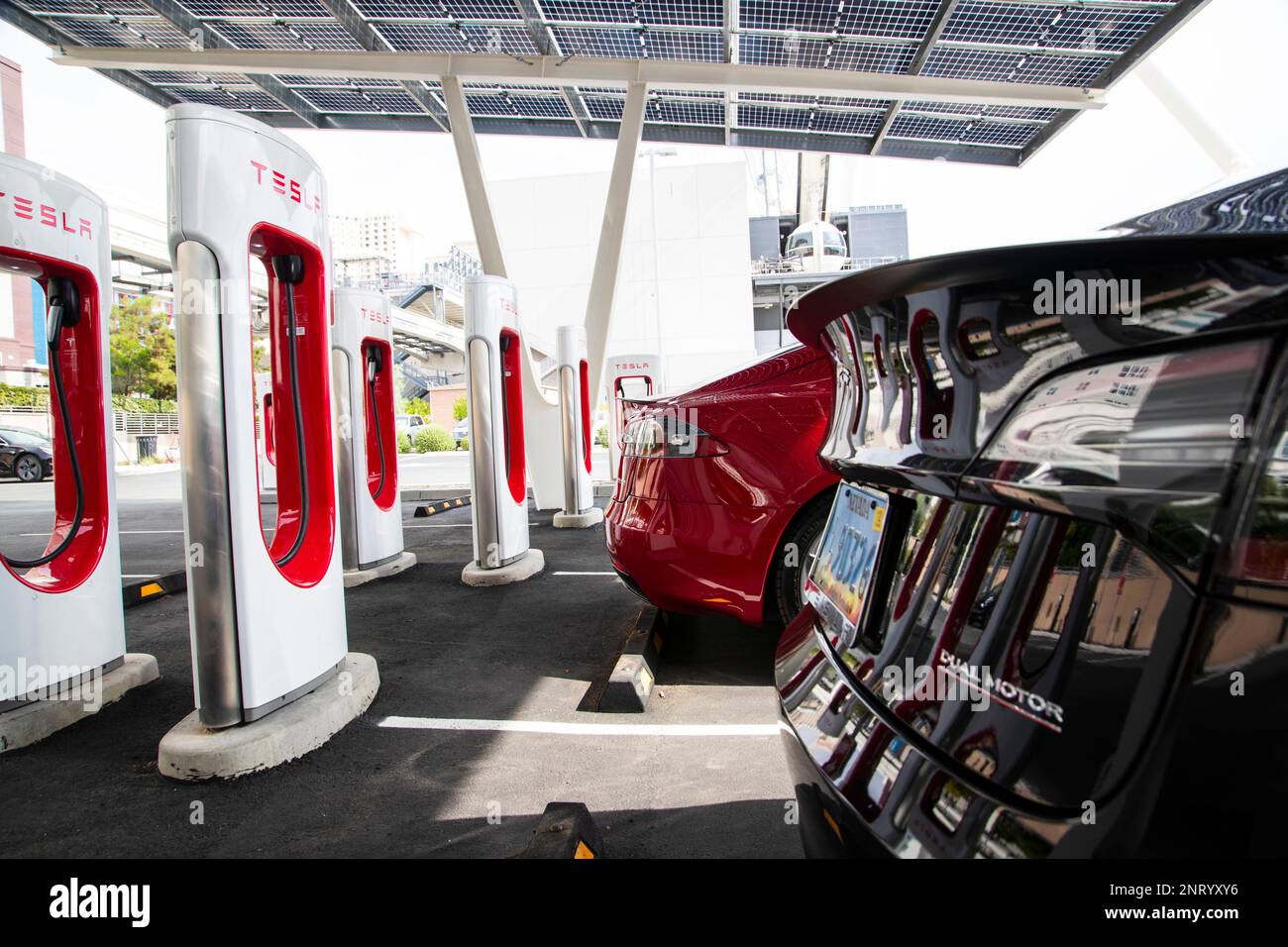 Tesla vehicles are parked at a new Tesla Supercharger station next to