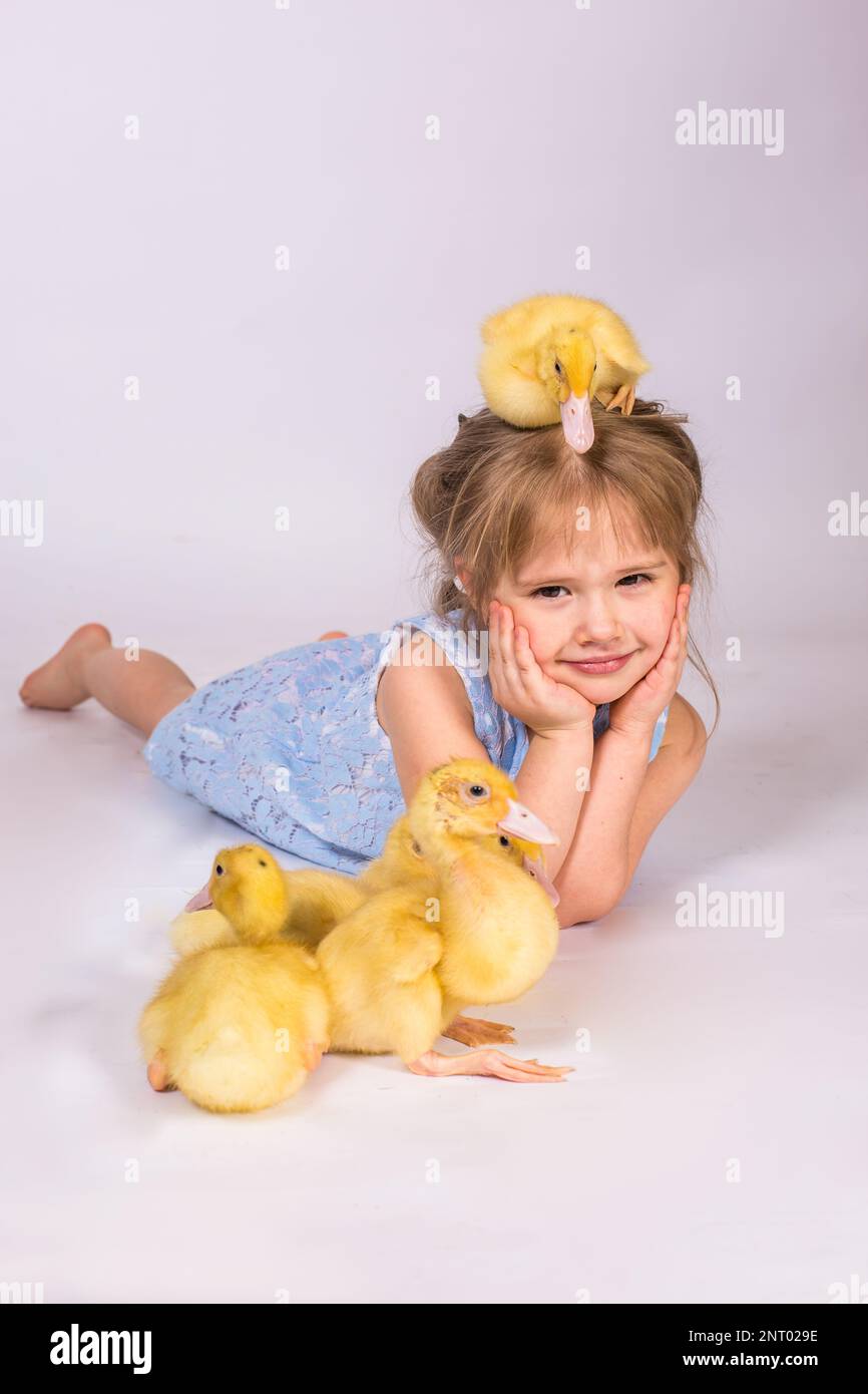 Girl in studio Lying With easter Ducklings Stock Photo