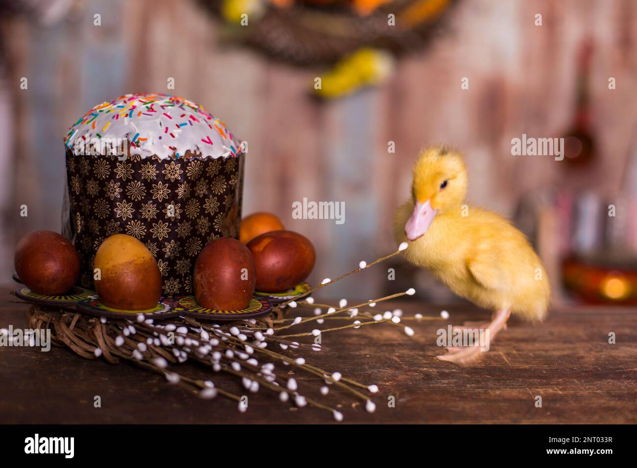 Easter decorated interior with colorfull eggs and ducklings Stock Photo