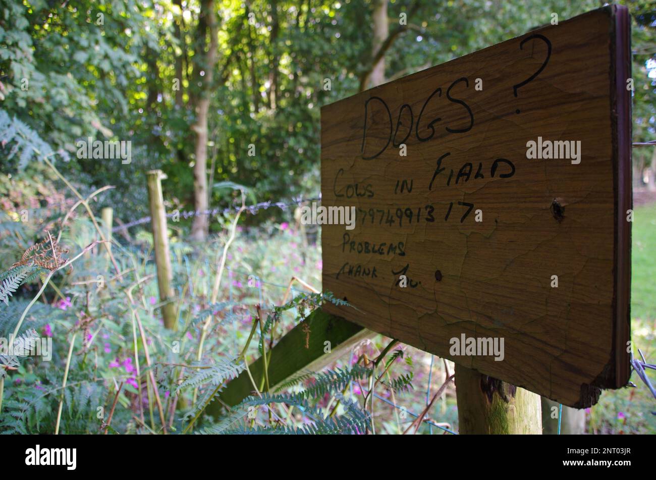 The Oxford Green Belt Way Long-distance trail. Oxfordshire. England. UK ...