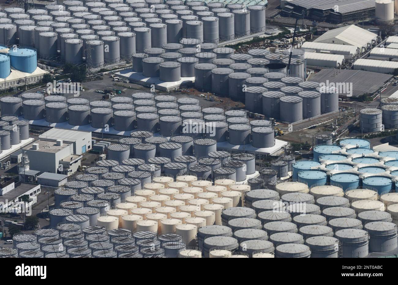 What caused the tsunami in the impossible