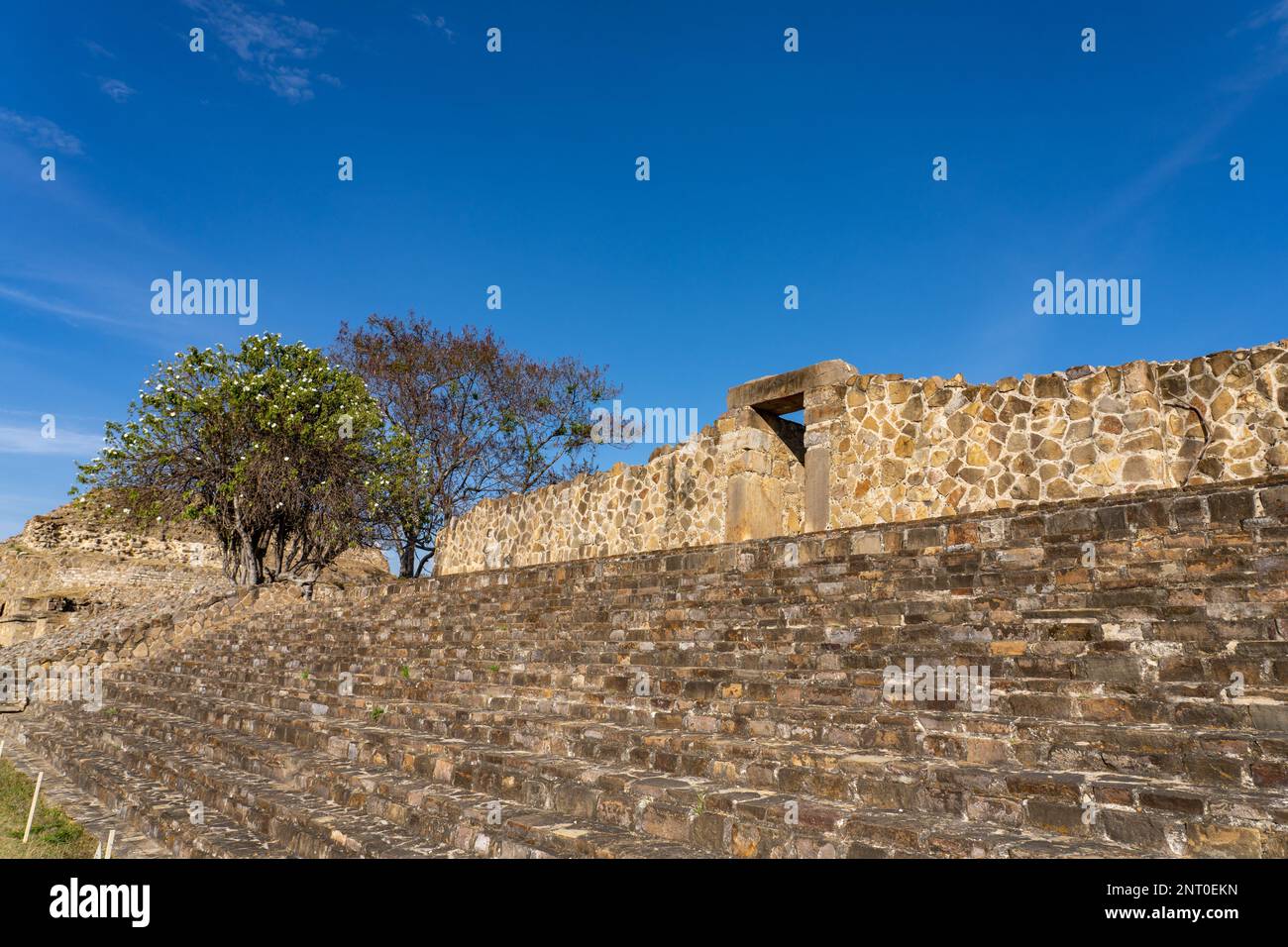 The Palace on the east side of the Main Plaza  in the pre-Hispanic Zapotec ruins of Monte Alban in Oaxaca, Mexico.  At left is a cazuaate or Tree Morn Stock Photo