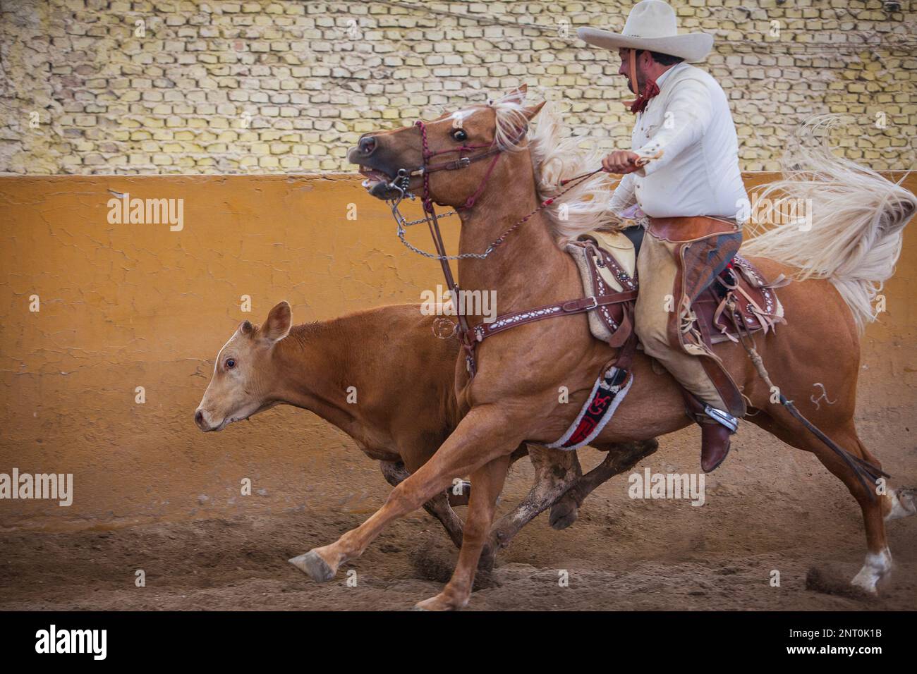 A charreada Mexican rodeo at the Lienzo Charro Zermeno, Guadalajara, Jalisco, Mexico Stock Photo