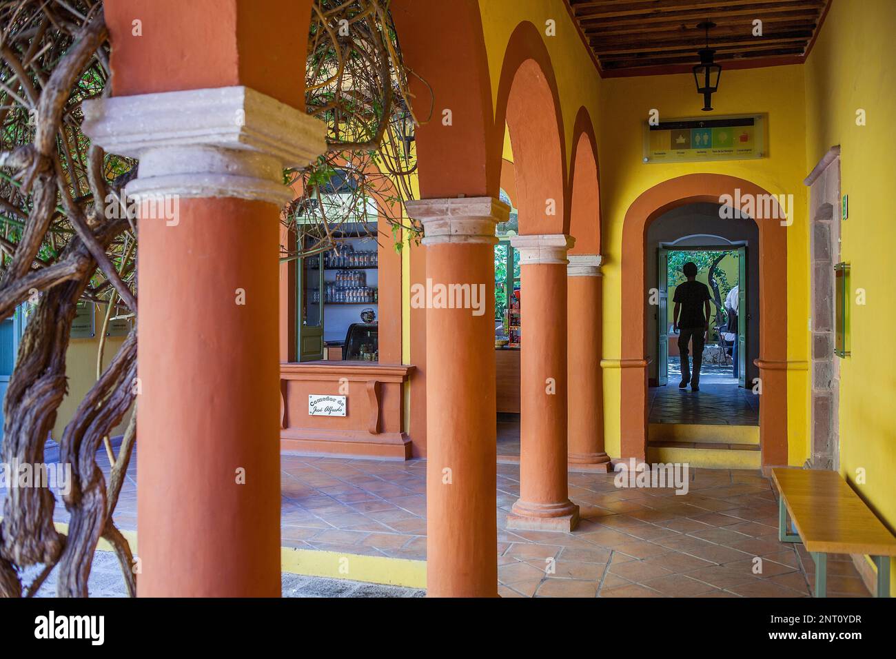 Courtyard of Casa Museo José Alfredo Jiménez,Guanajuato 13, Dolores
