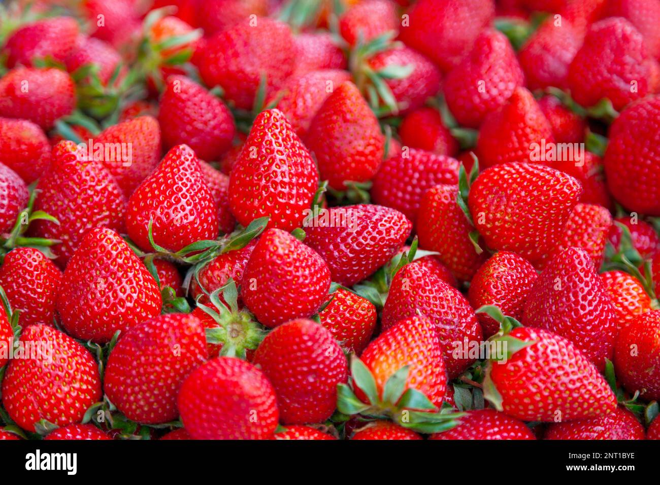 Closeup on a stack of strawberries for sale on a market stall Stock