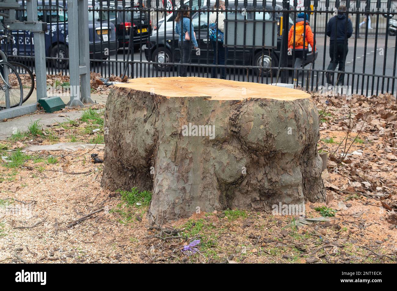 Euston, London, UK. 27th February, 2023. Locals and environmentalists
