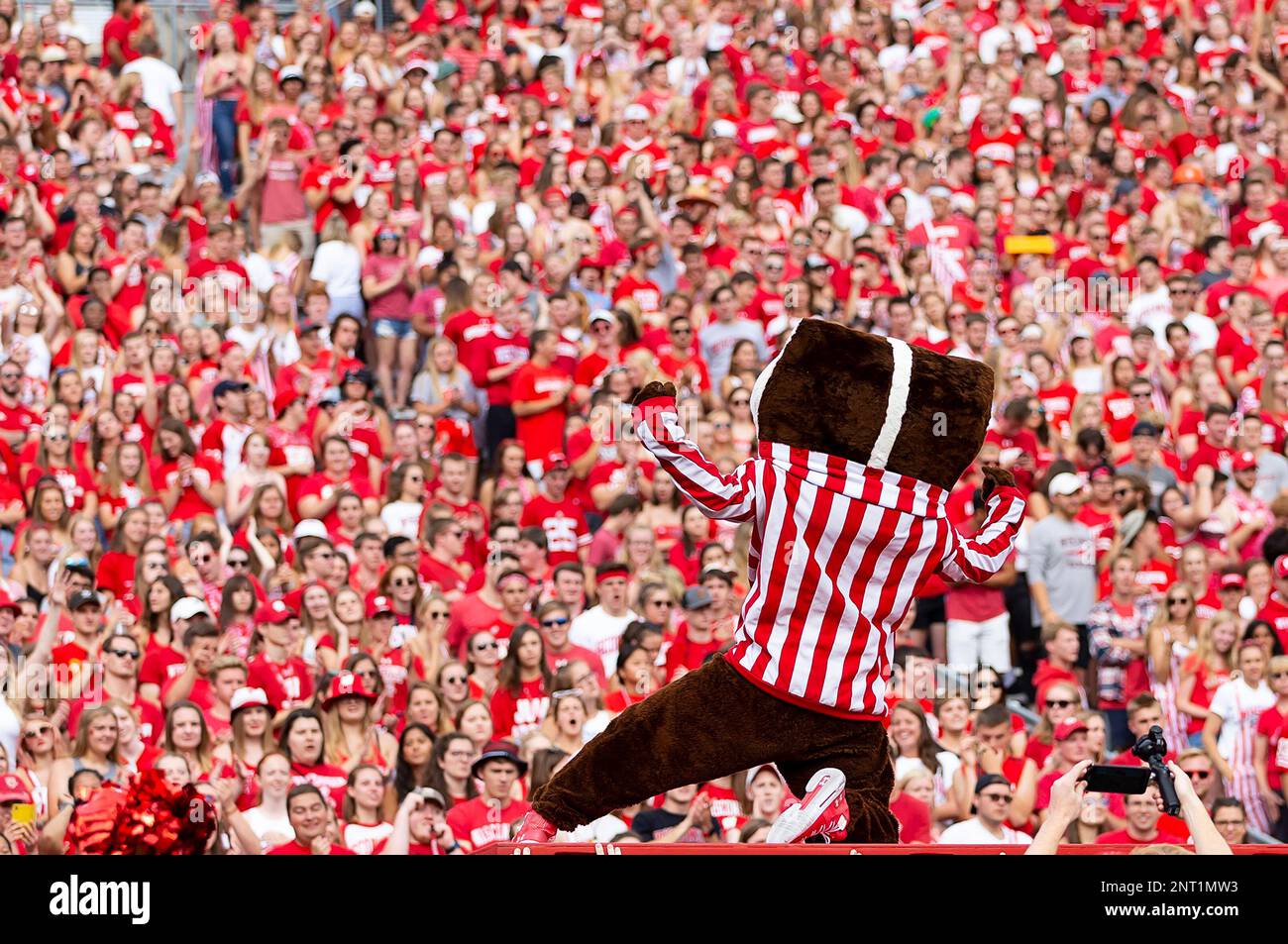 September 7 2019 Wisconsin Badgers Mascot Bucky Badger Entertains The september-7-2019-wisconsin-badgers-mascot-bucky-badger-entertains-the