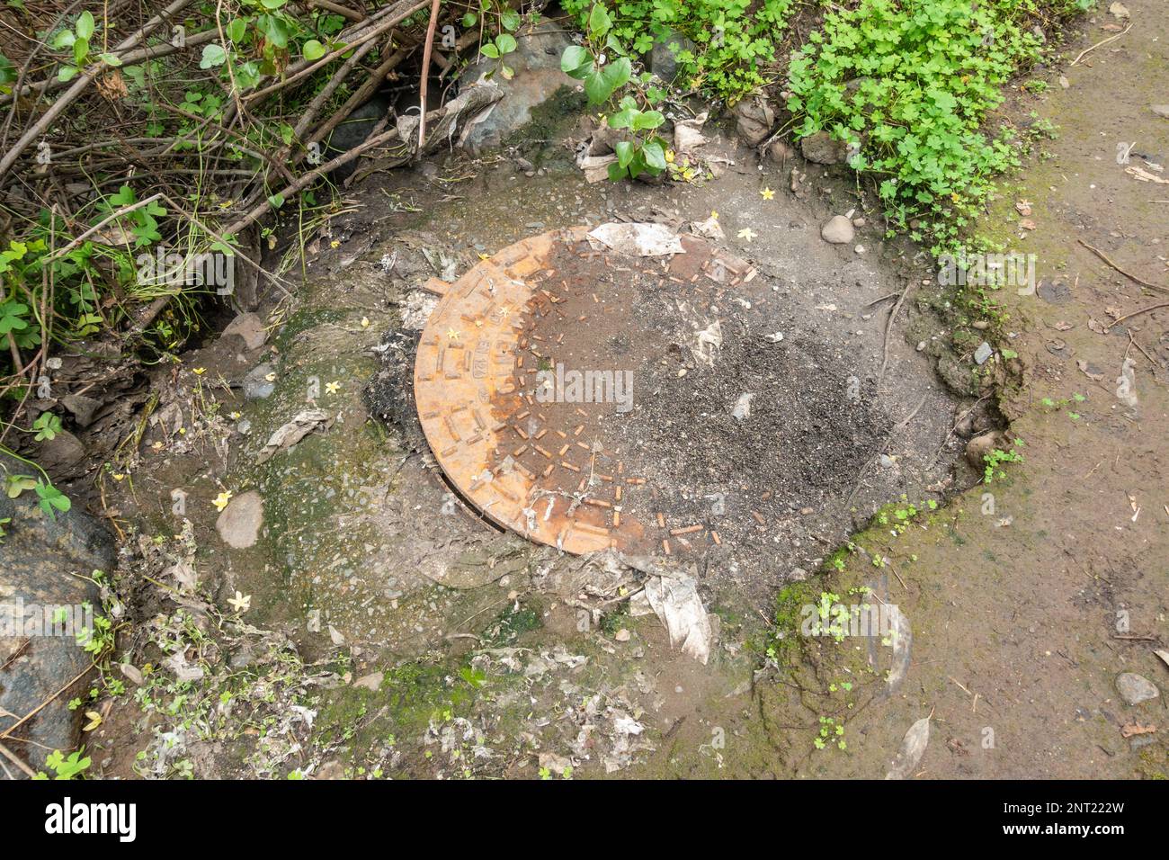 Partially lifted manhole, sewer cover near river following heavy rain. Eat.  Raw sewage and wipes around cover following overflow. Stock Photo
