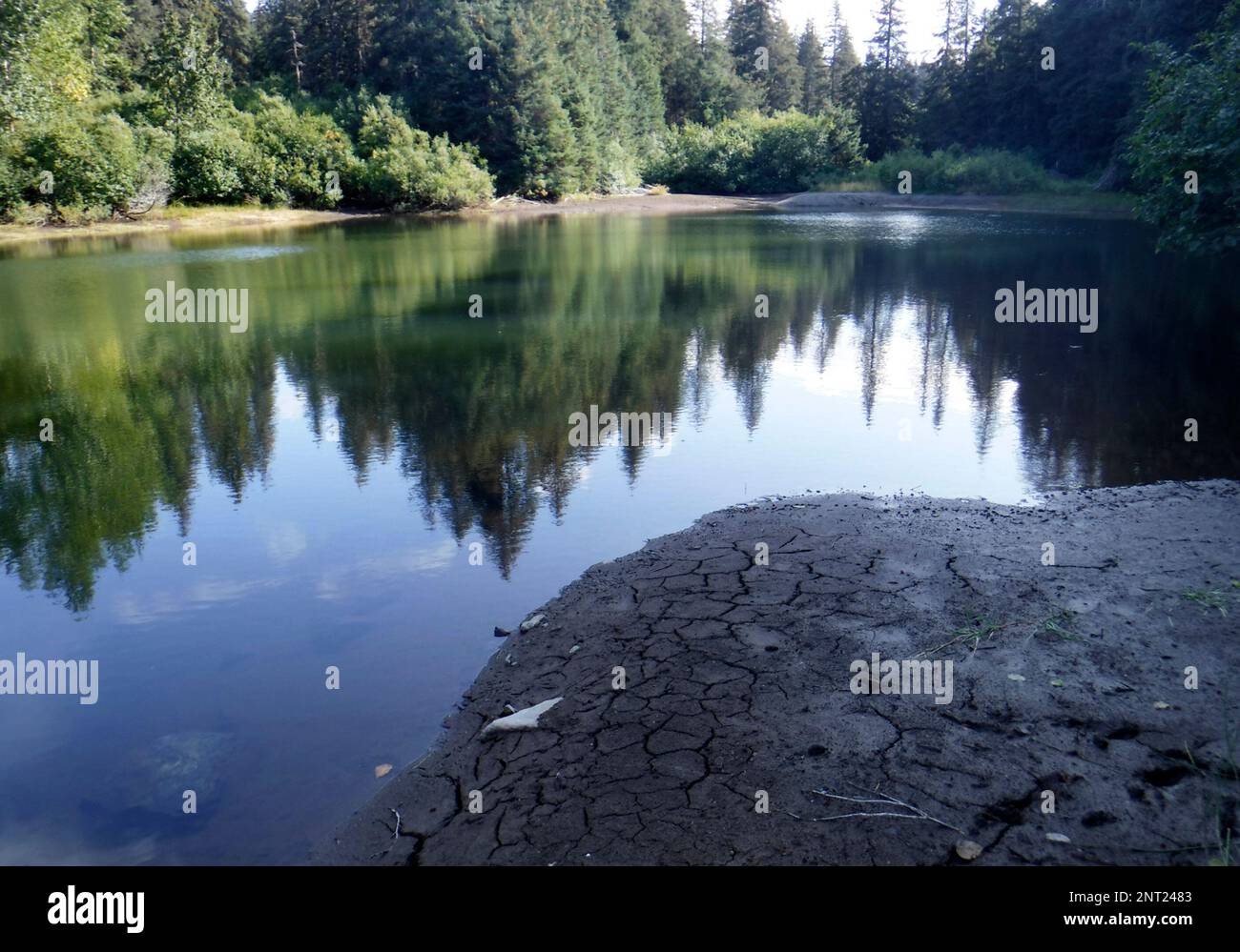 In this Sept. 4, 2019, photo provided by the City of Seldovia, Alaska