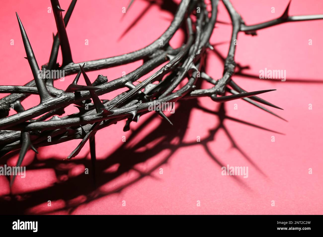 Crown of thorns on red background Stock Photo - Alamy