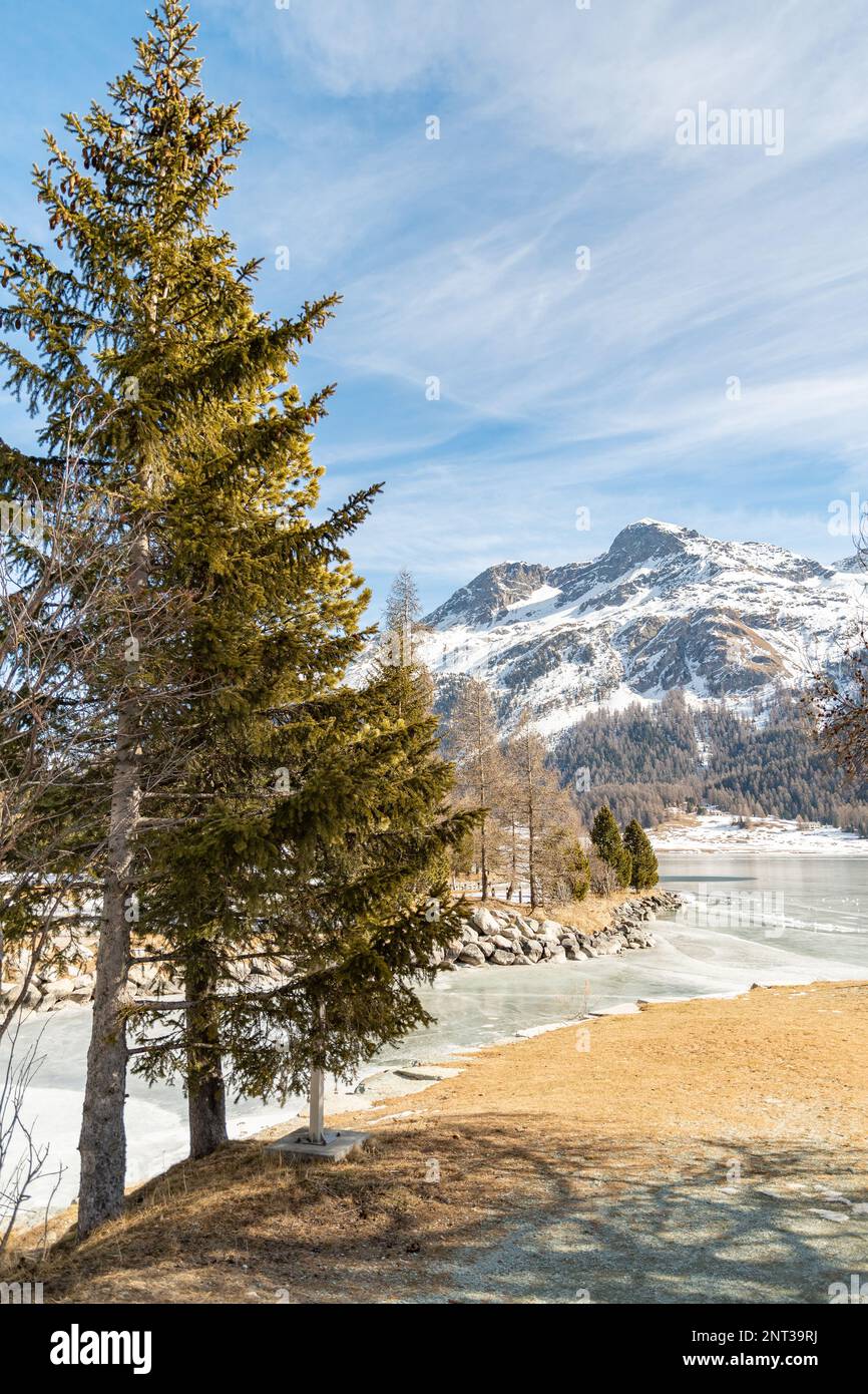 Silvaplana, Switzerland, February 21, 2023 Incredible beautiful winter panorama at the lake of Silvaplana Stock Photo