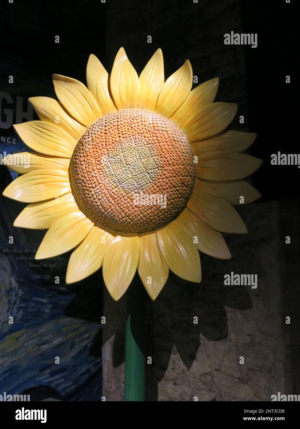 A large wooden sunflower greets you at the entrance to the Immersive Van Gogh Experience in Leicester, an iconic emblem of the artist's paintings. Stock Photo