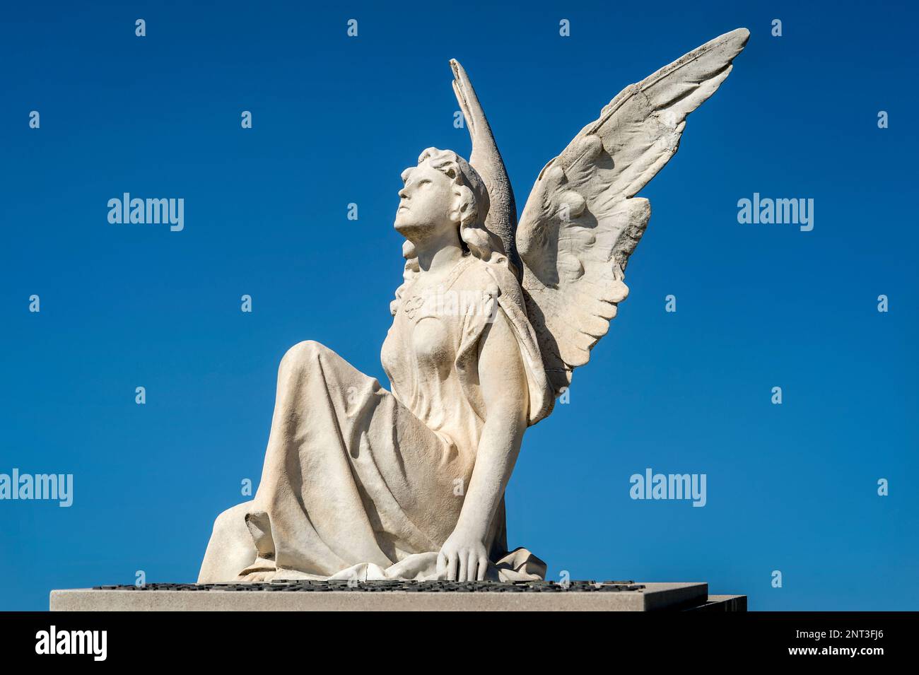 Flying Angel Woman in Marseille, France Stock Photo