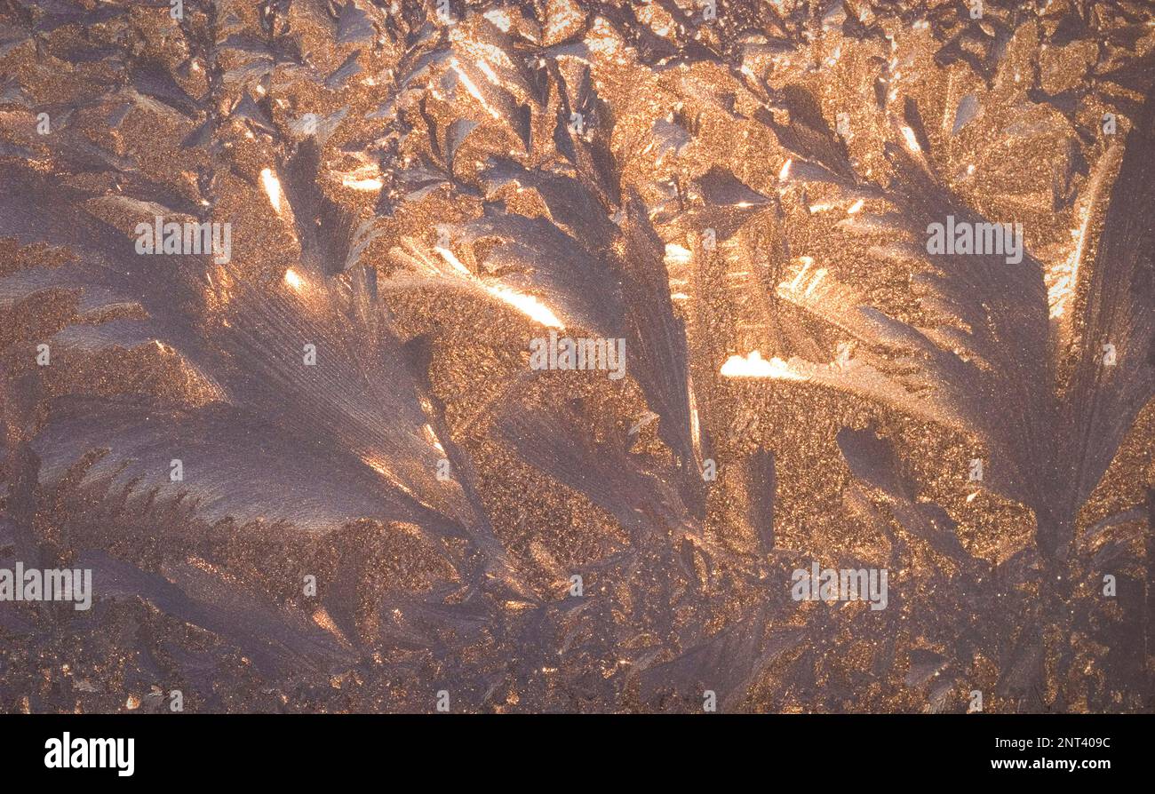 Frost on the window. Stock Photo
