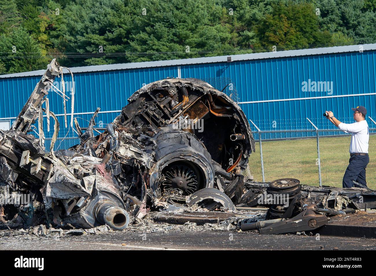 what happened to dale earnhardts dog in plane crash