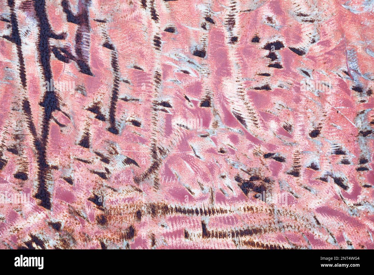 Full frame close-up on a rusty iron plate. Stock Photo