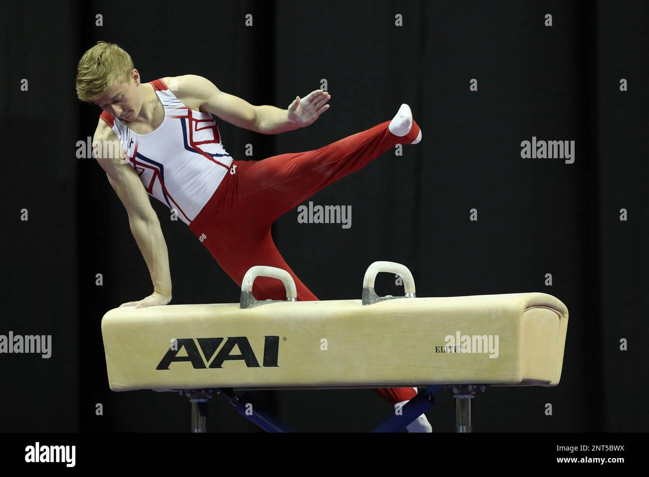 August 10, 2019 Gymnast Riley Loos competes during day two of the 2019