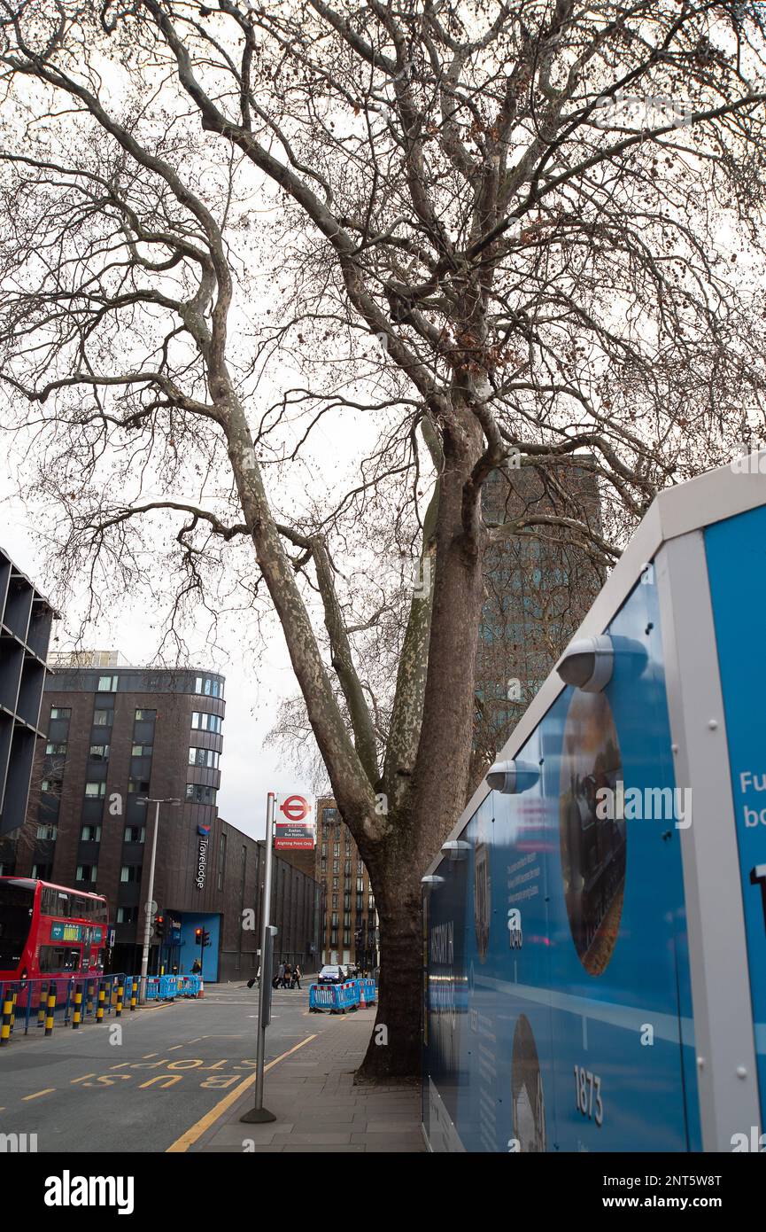 Euston, London, UK. 27th February, 2023. Euston Square Gardens