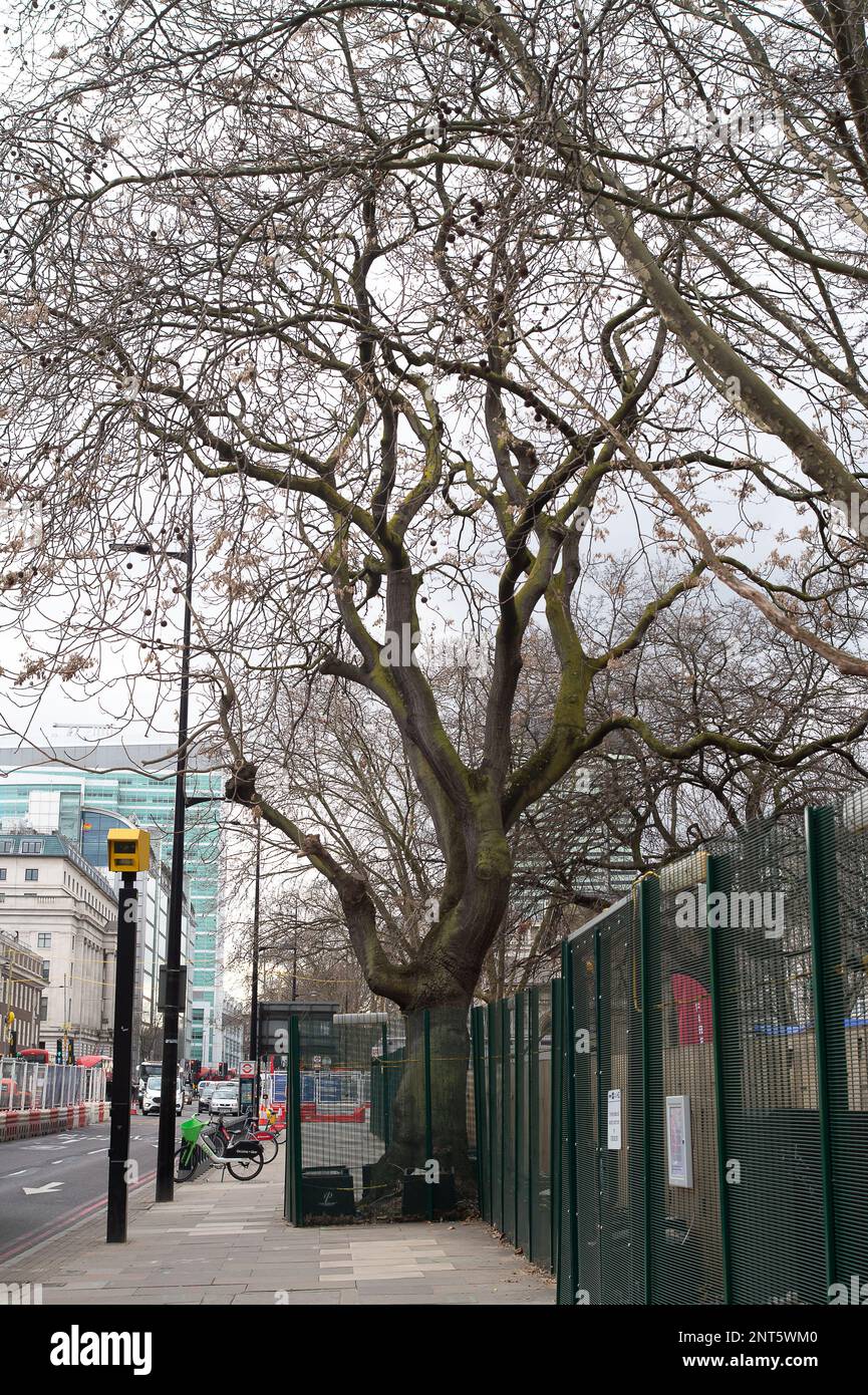 Euston, London, UK. 27th February, 2023. Euston Square Gardens