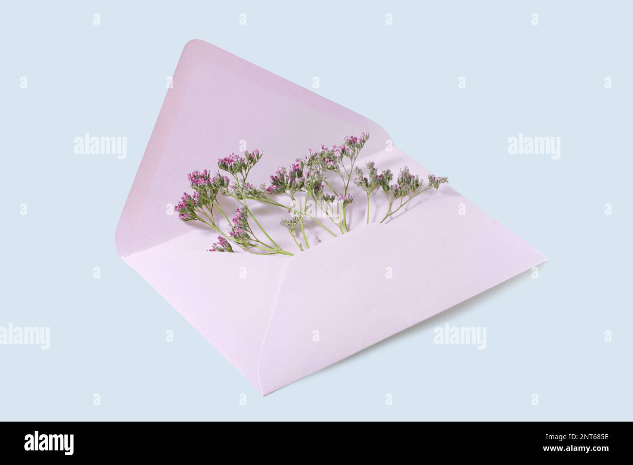 Open pink envelope with some small pink flowers in it as a congratulation greeting or love symbol for holidays like valentines, birthday, mothers day Stock Photo