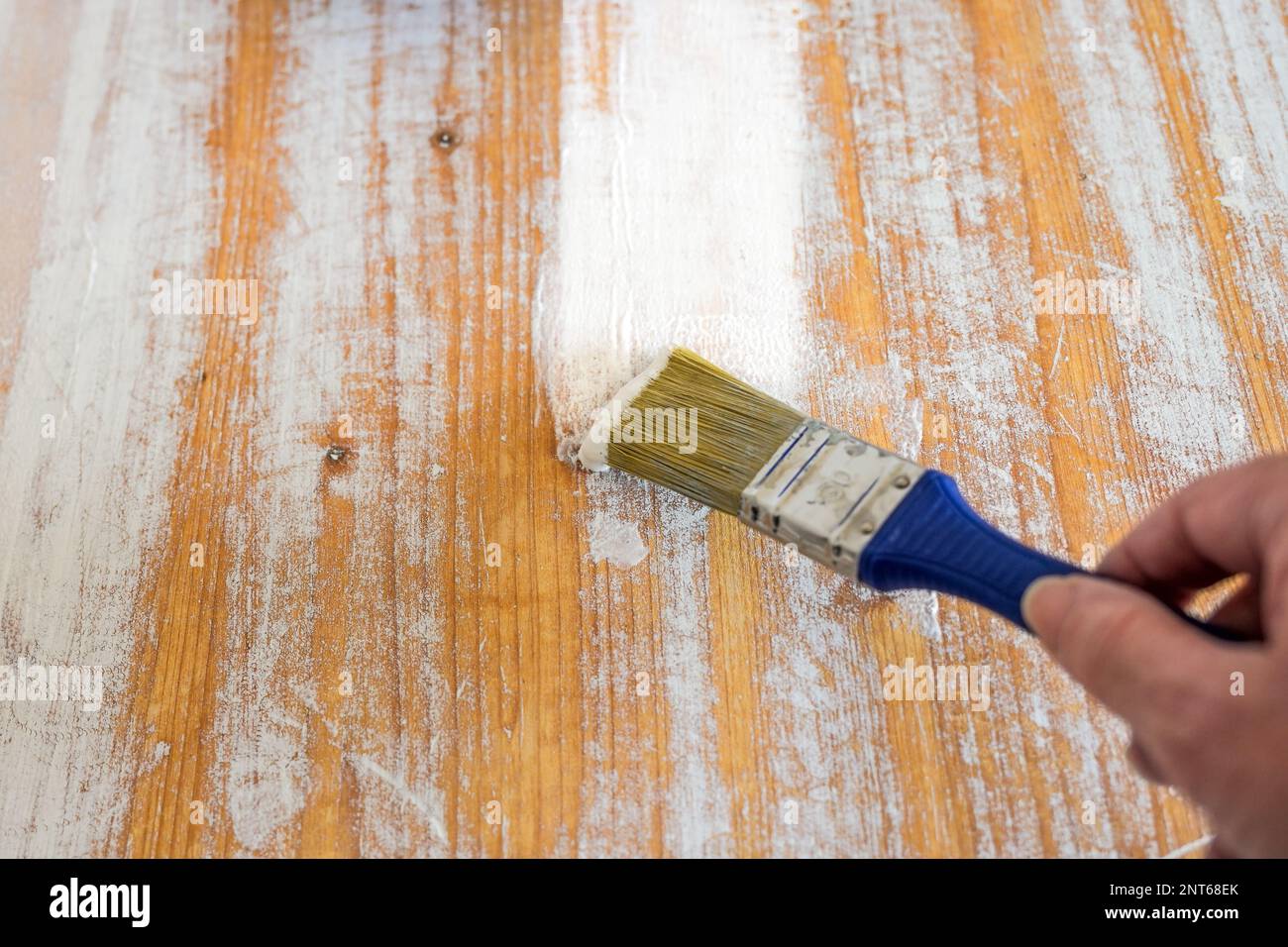 Painting a wooden surface with a paint brush and white lacquer, diy concept and craft at home, copy space, selected focus, narrow depth of field Stock Photo