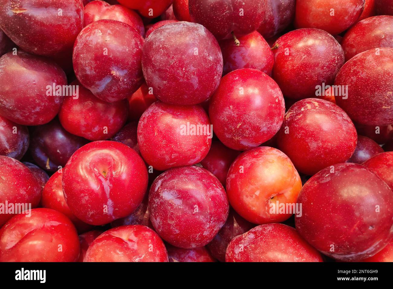 Closeup on a stack of red plums for sale on a market stall Stock Photo