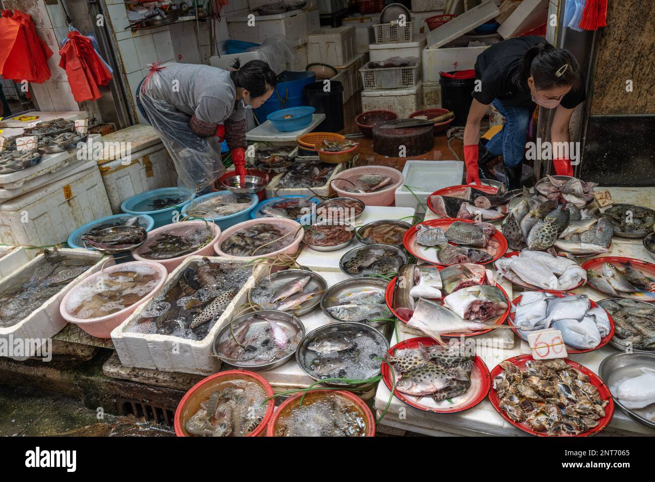 Hong Kong  Kowloon and Hong Kong island. Bustling shopping in the markets. Fish market. All Pictures Neville Marriner Leica Q2 Stock Photo